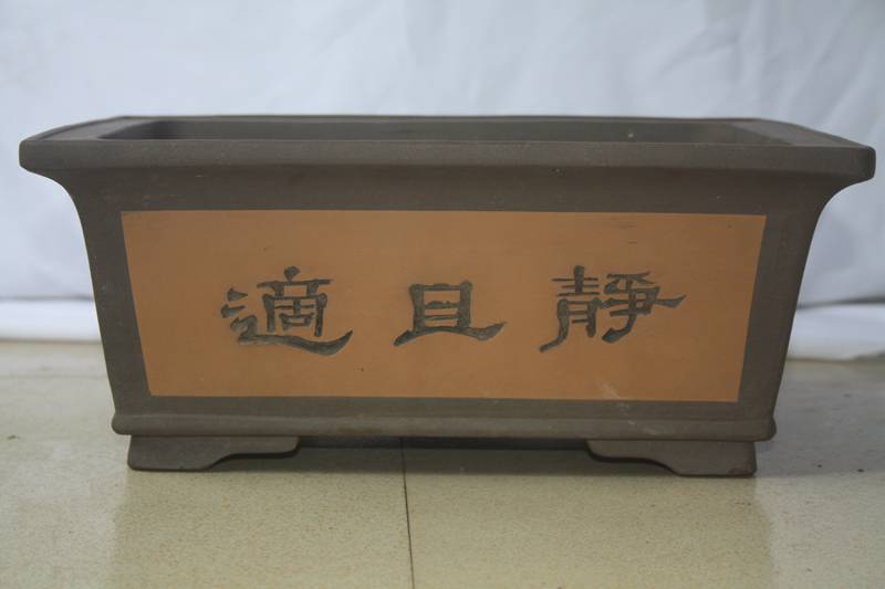 Ƭ10 006.jpg