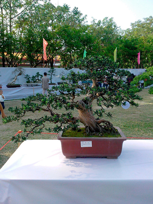 IMG20131108018_.jpg