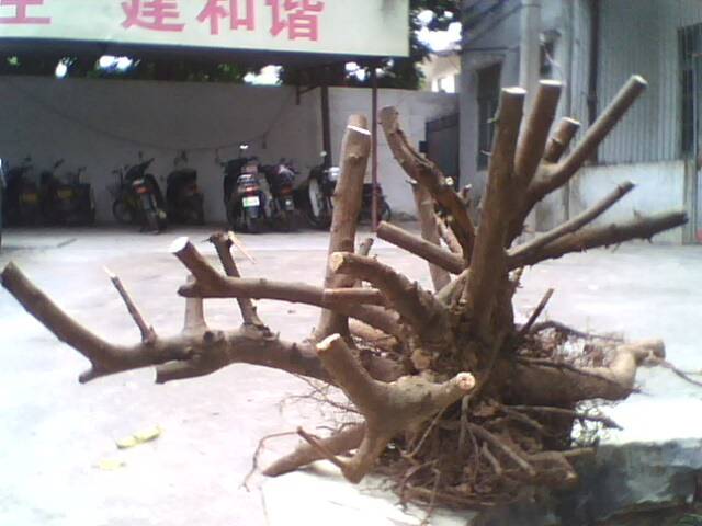 225621yuypol4l05t9ptpp.jpg.thumb.jpg
