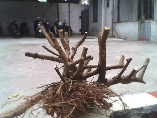 225636n019ak8ozkm1kmak.jpg.thumb.jpg