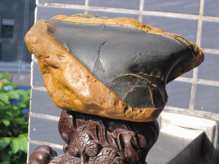 2011.10Ƭ 104.jpg