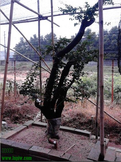 QQͼƬ20130828235343.jpg