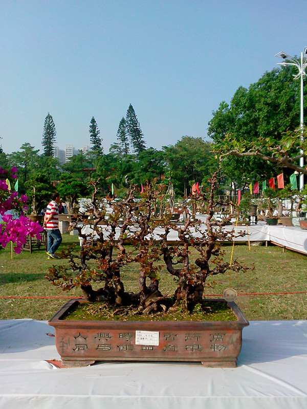 IMG20131108073_.jpg