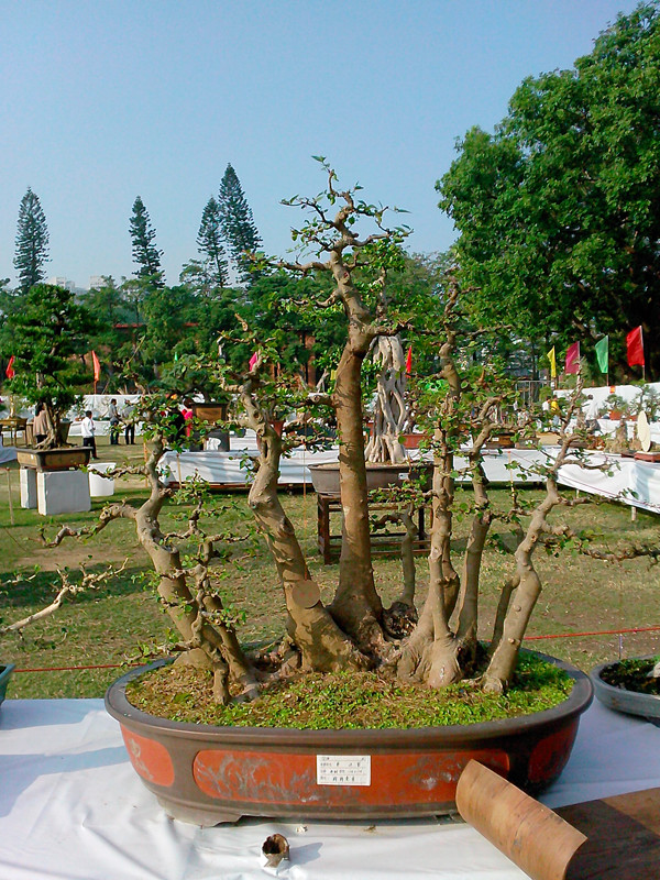 IMG20131108080_.jpg