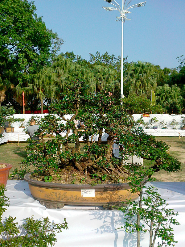 IMG20131108093_.jpg