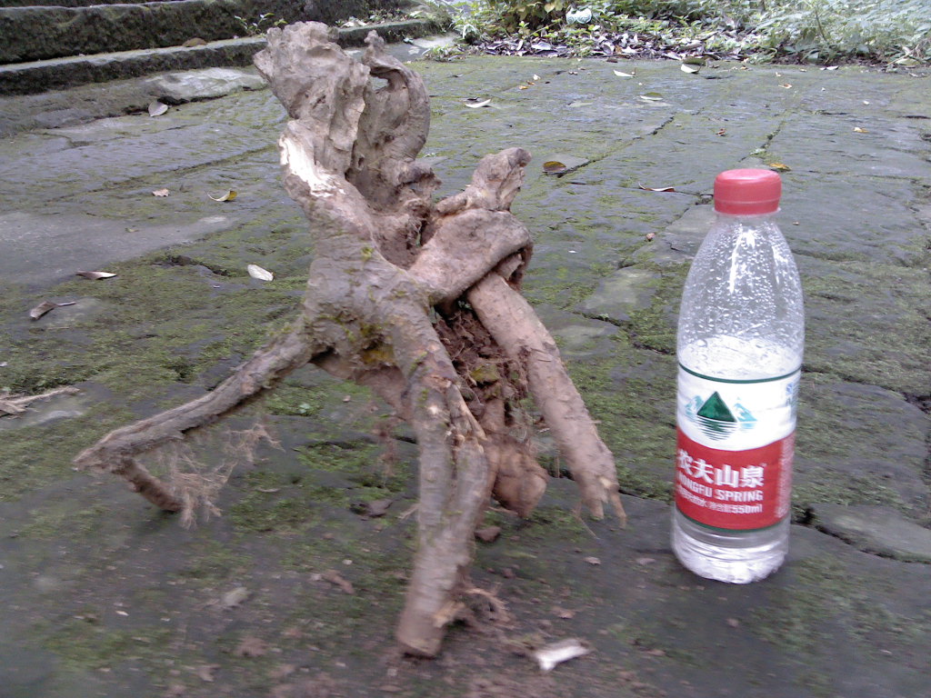 IMG_20131108_155057.jpg