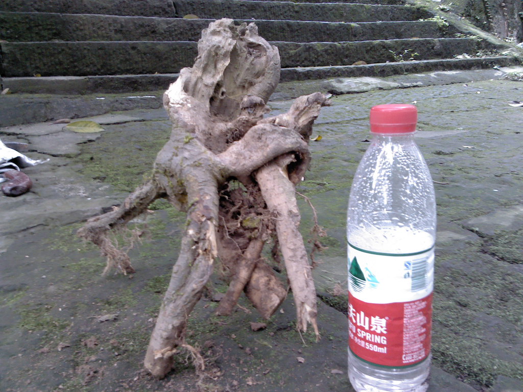 IMG_20131108_155223.jpg