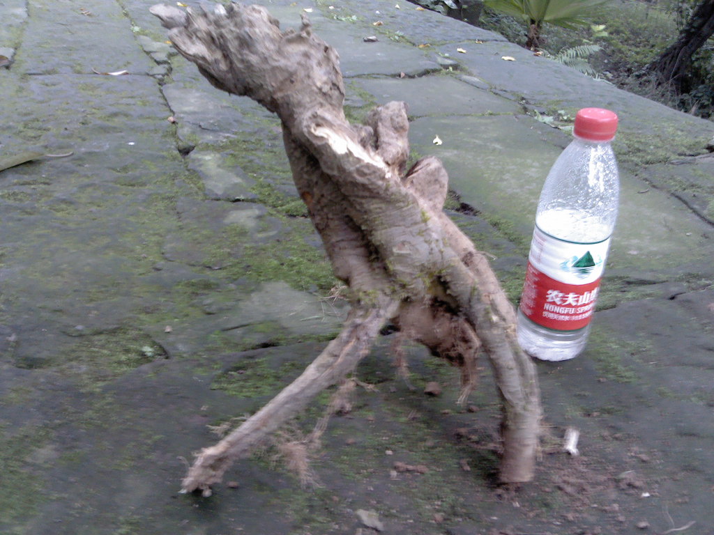 IMG_20131108_155213.jpg