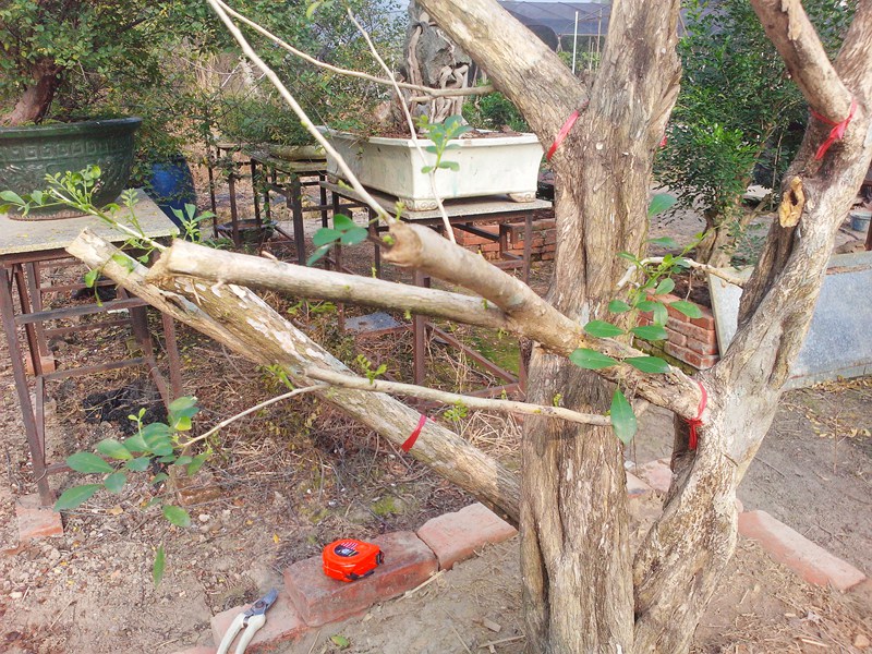 IMG20131109002.jpg