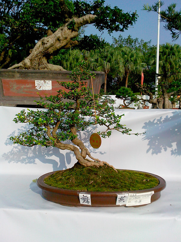 IMG20131108095_.jpg