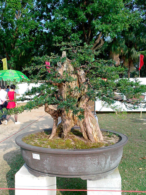 IMG20131108099_.jpg