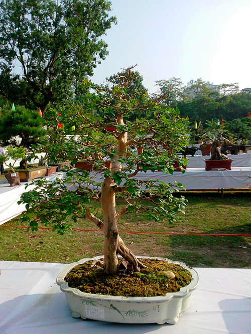 IMG20131108102_.jpg