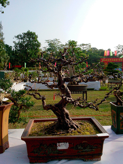 IMG20131108114_.jpg
