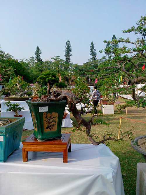 IMG20131108135_.jpg