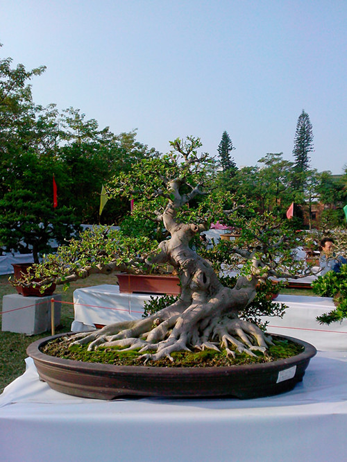 IMG20131108140_.jpg