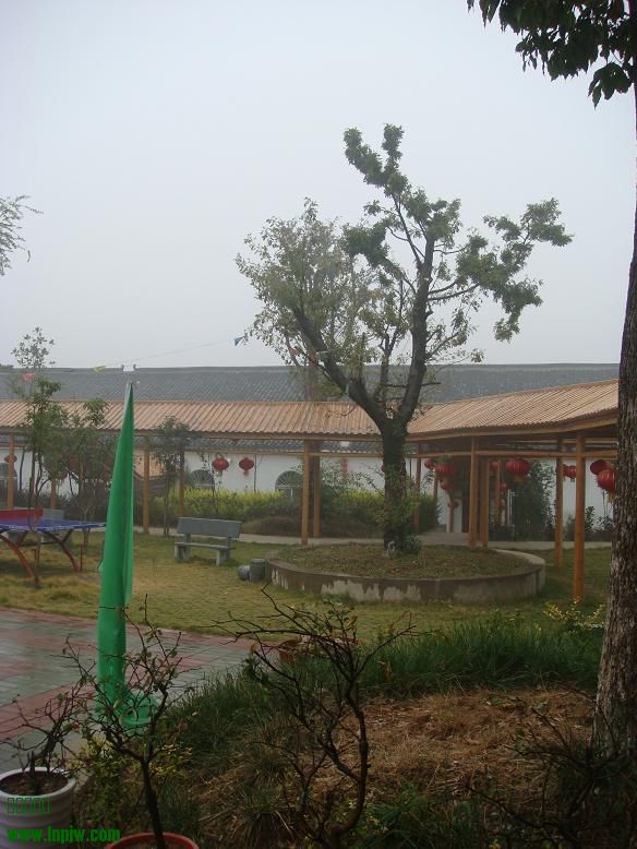 DSC05753.JPG