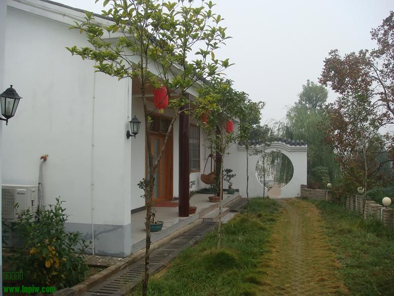 DSC05791.JPG