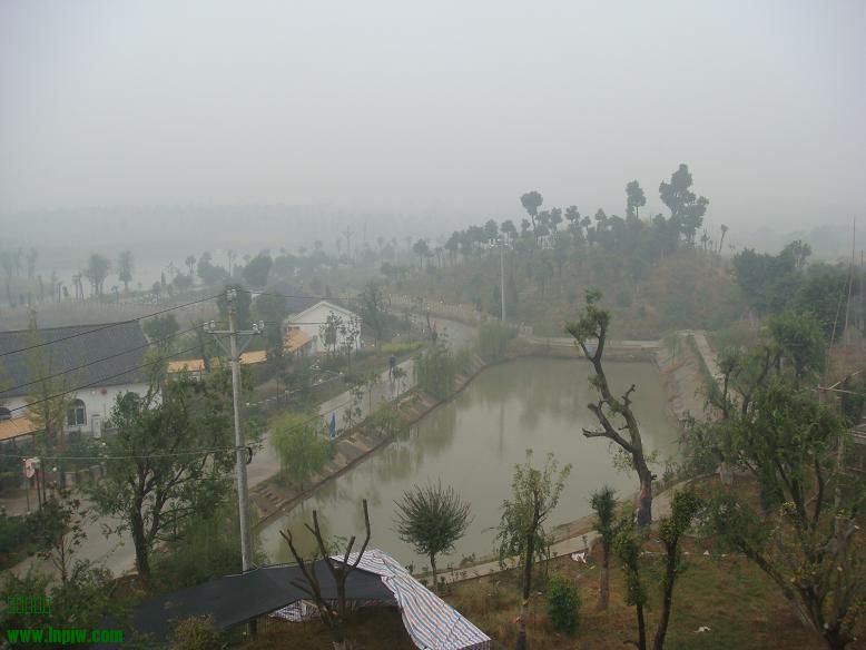 DSC05813.JPG