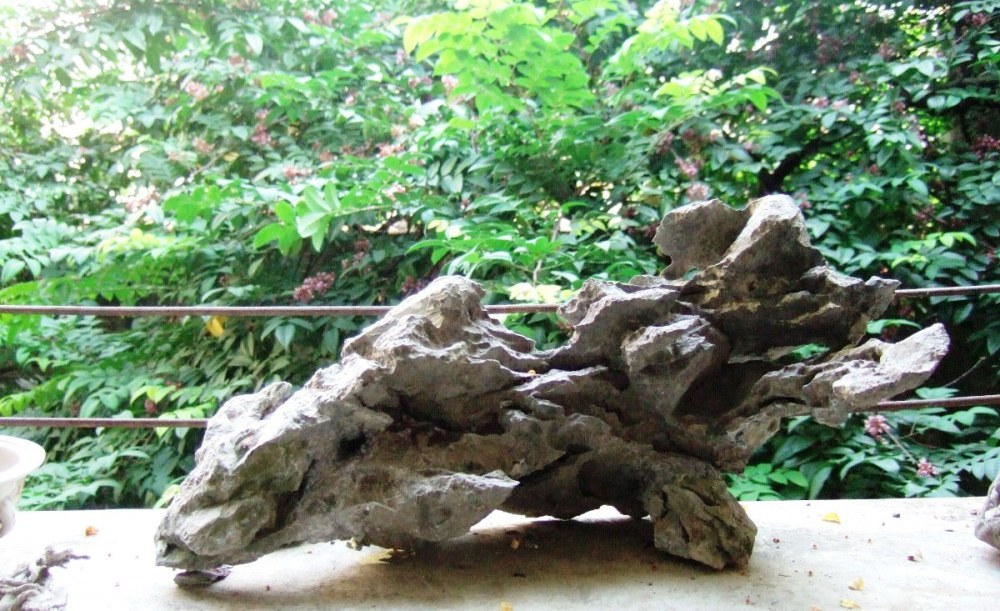 DSCF4358.JPG