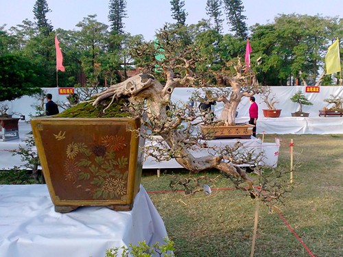 IMG20131108181_.jpg