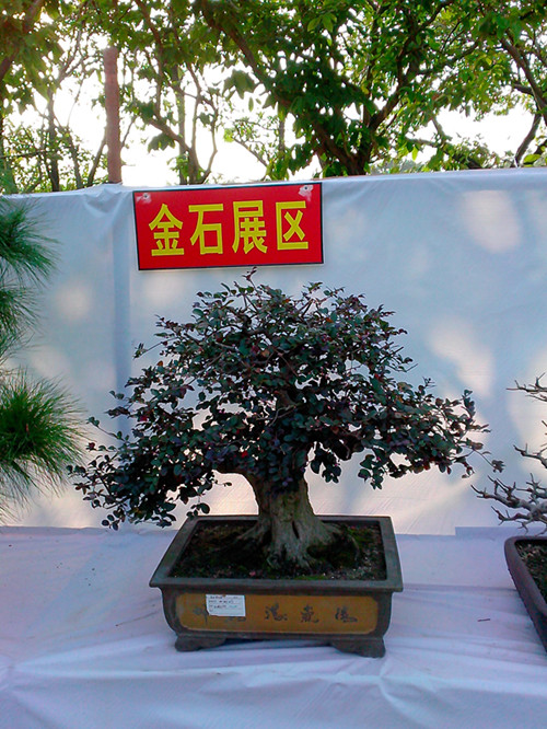 IMG20131108188_.jpg