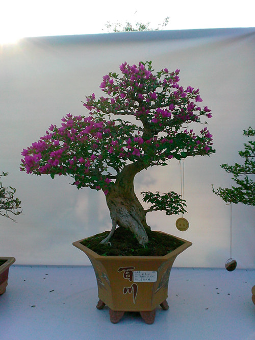 IMG20131108191_.jpg