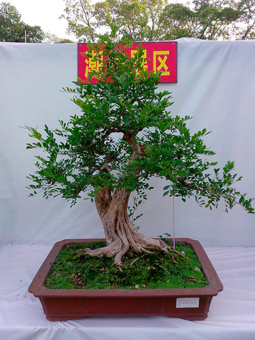 IMG20131108215_.jpg