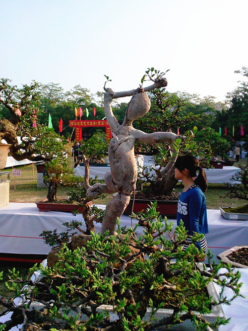 IMG20131108184_.jpg