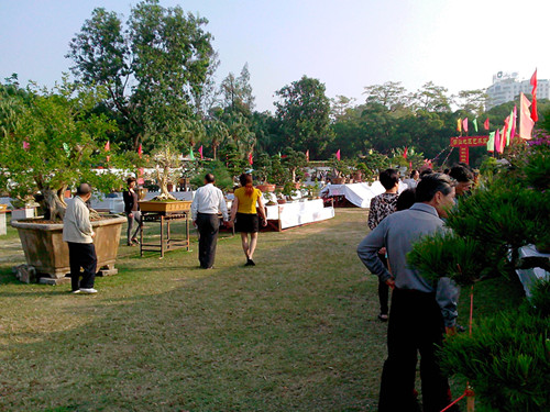 IMG20131108200_.jpg