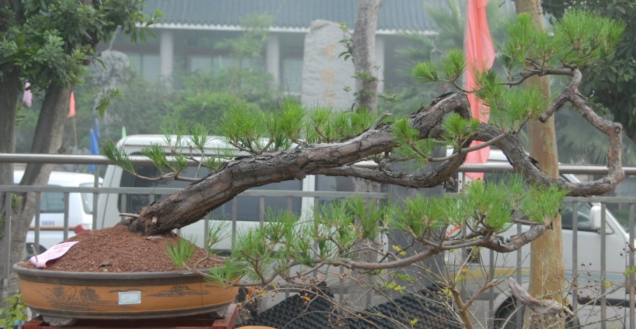 QQͼƬ20131109200731.jpg