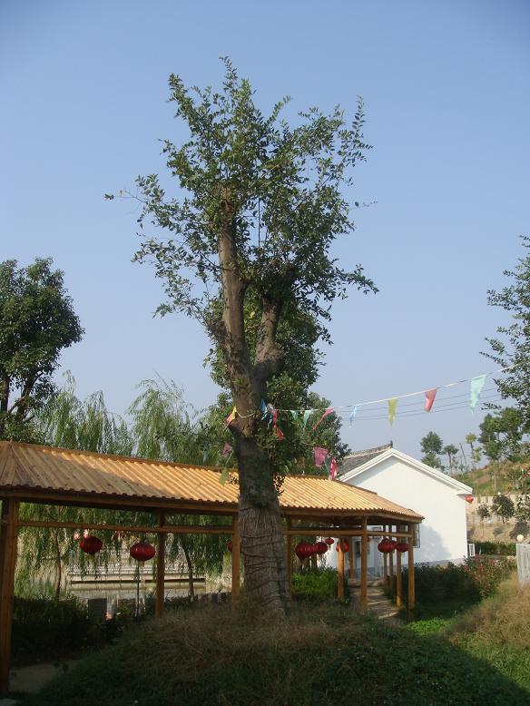 DSC05982.JPG