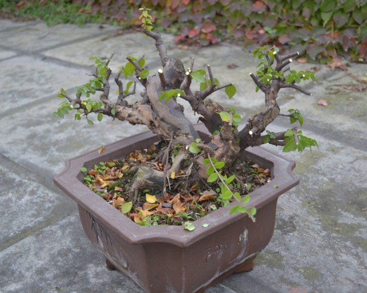 QQͼƬ20131114173542.jpg