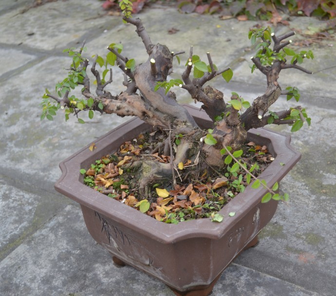 QQͼƬ20131114173631.jpg