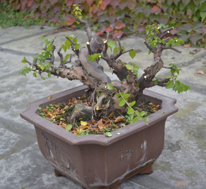 QQͼƬ20131114173654.jpg
