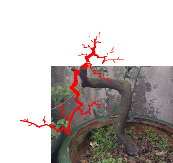 QQͼƬ20131115103921.jpg