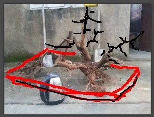 QQͼƬ20131116104606.jpg