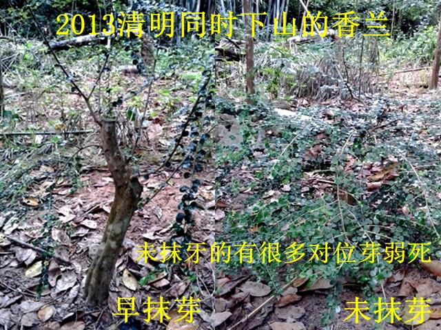20131102_161646__1.jpg