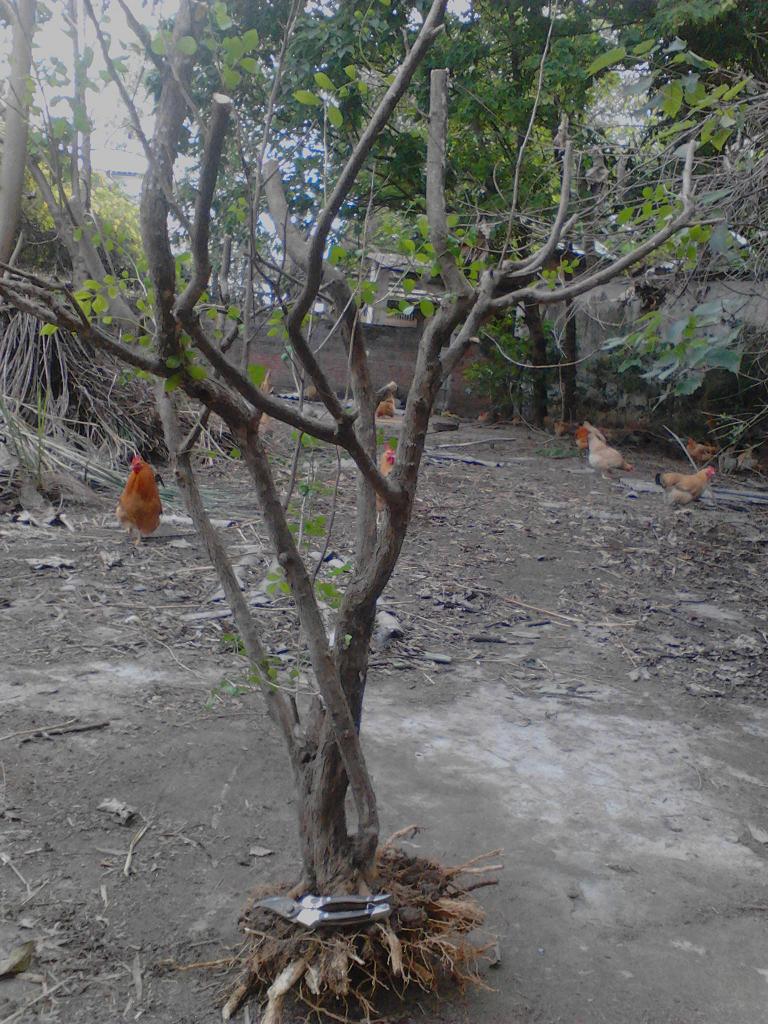 IMG_20131116_144401.jpg