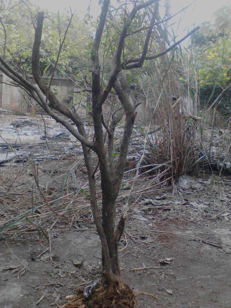 IMG_20131116_144415.jpg