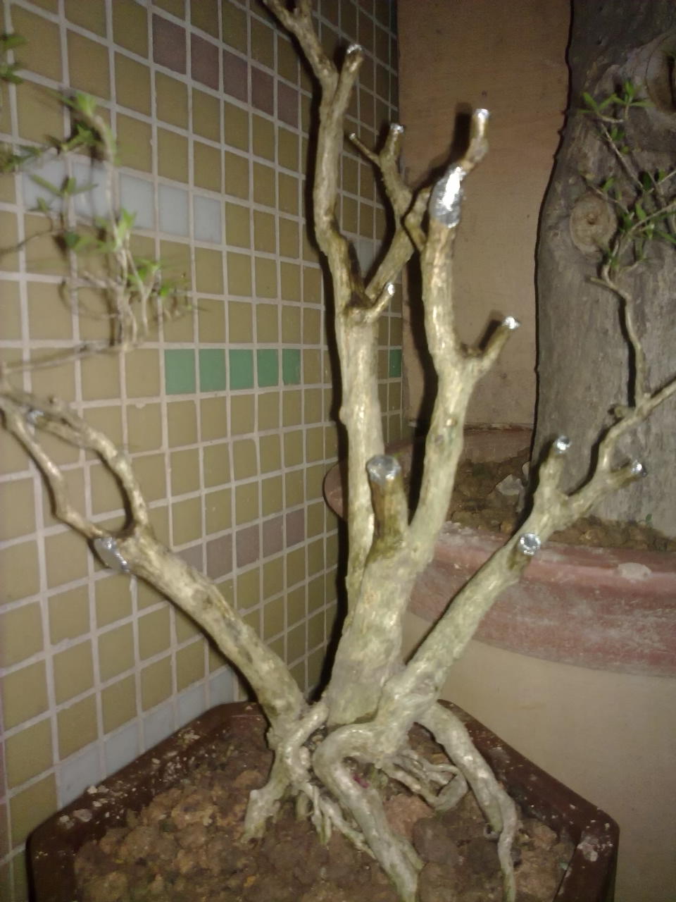 201311171352.jpg