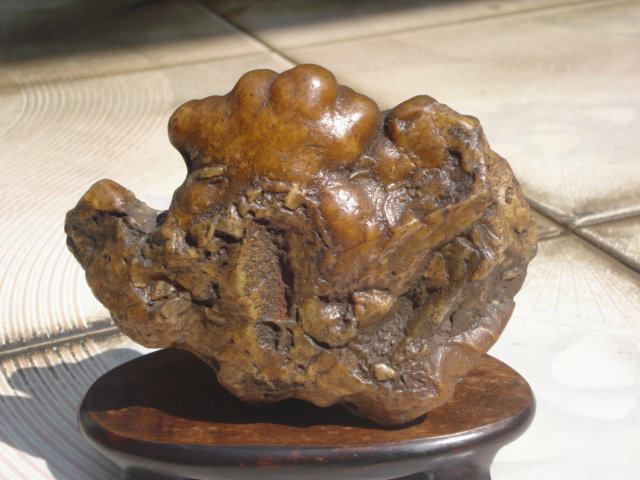 DSC01429.JPG