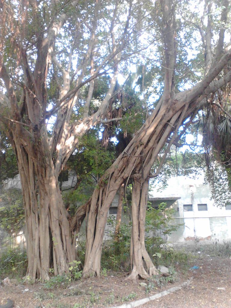 IMG_20131024_155538.jpg