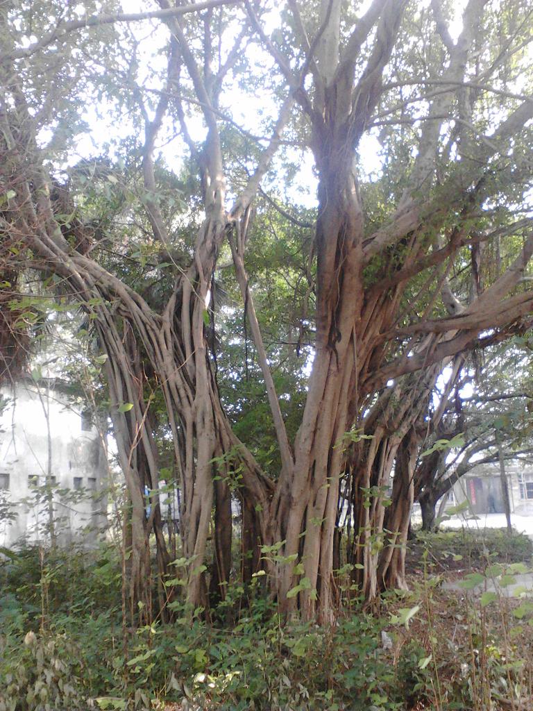 IMG_20131024_155650.jpg