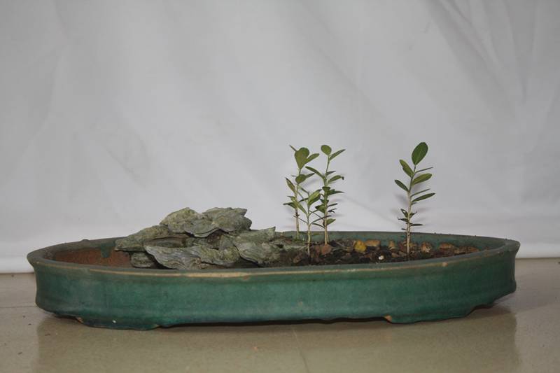 Ƭ20131026ۺ 365.jpg