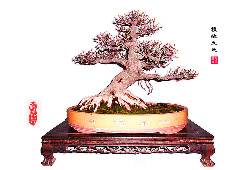DSCI2884_.jpg