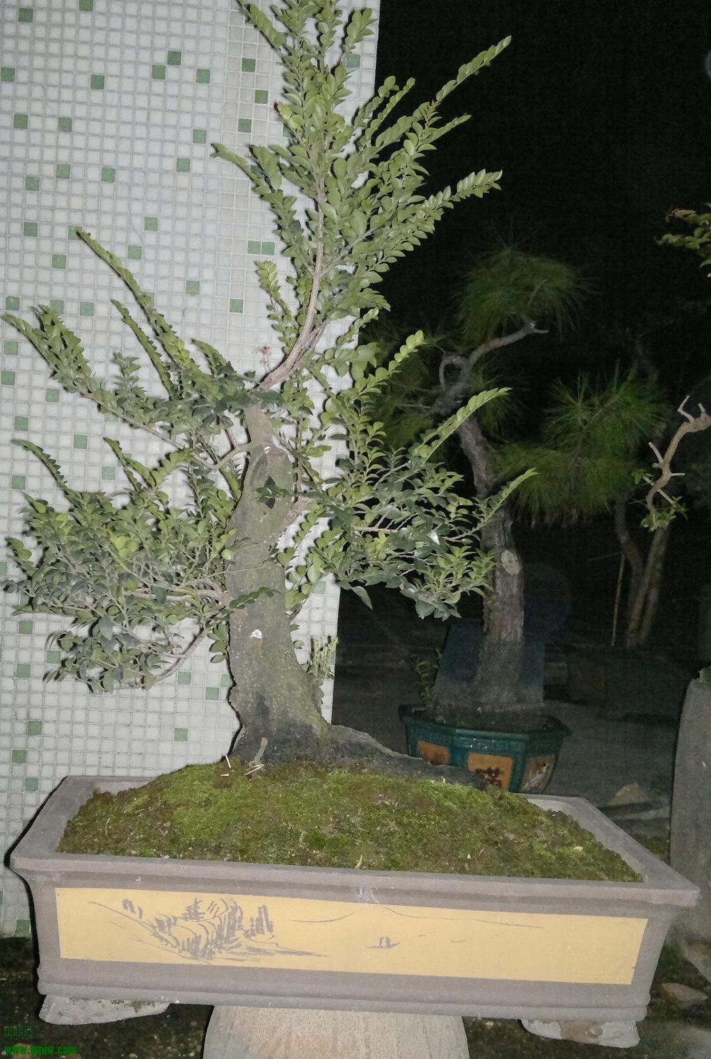 201311171678.jpg