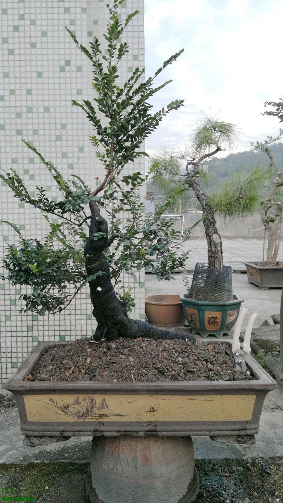 201311171668.jpg