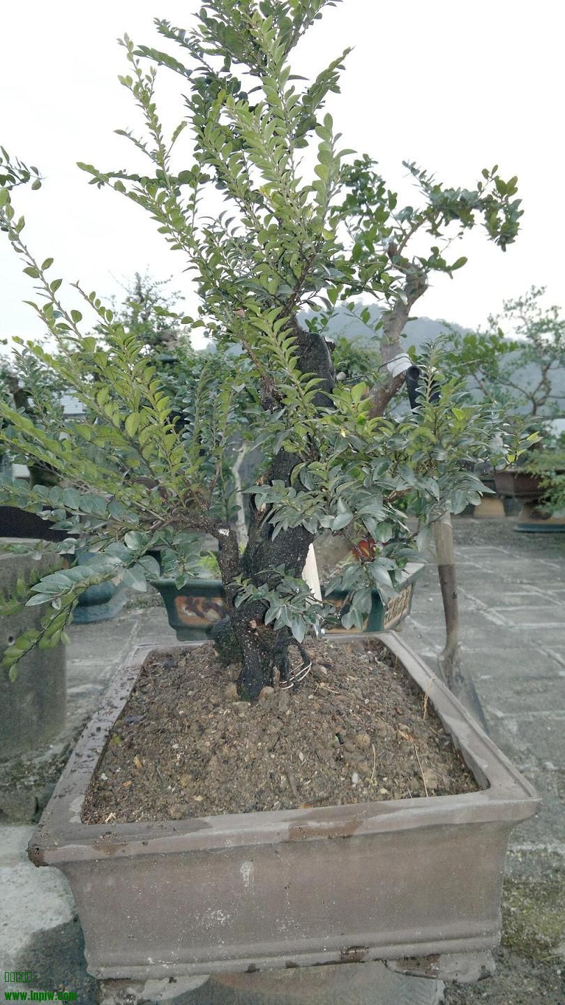 201311171669.jpg