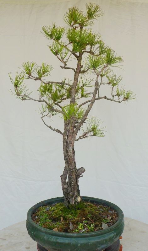 A9-3.JPG