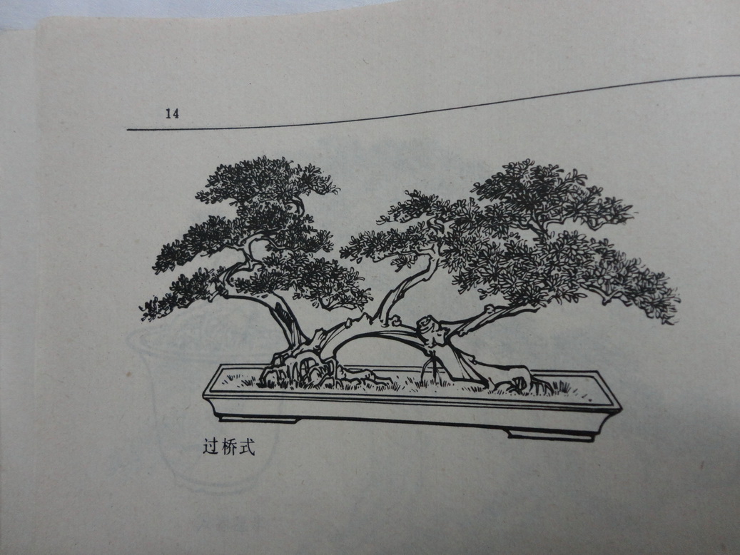 DSC00347_С.JPG